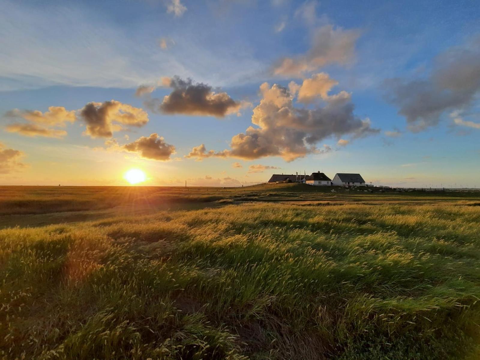 Nordsee Bauernhof Familie Wulff Fewo "Suedfall" Reussenkoge Exterior photo